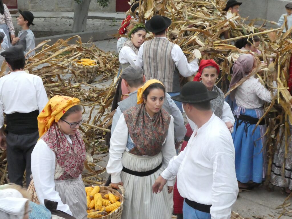 Recriação da desfolhada tradicional